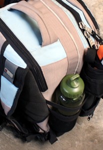 Seasoned travellers