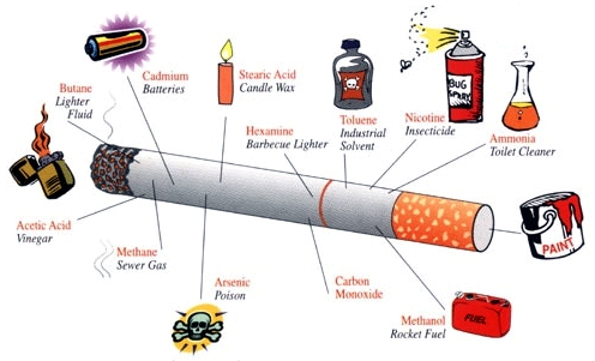 Image from http://cigarettefilter.info/blog/wp-content/uploads/2011/05/danger-of-cigarette.jpg